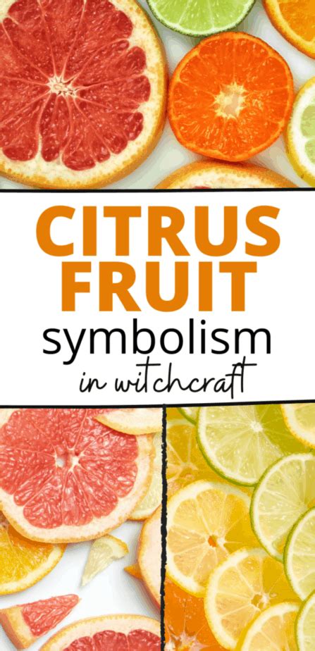 The Magical Brew: Enhancing Spells with Citrus Fruits